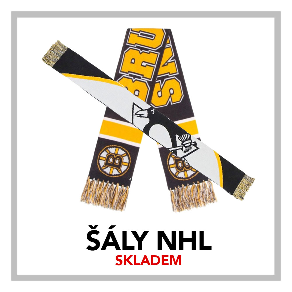 saly-nhl